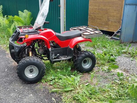 2020 Другие ATV (другие), красный, 80000 рублей, вид 3