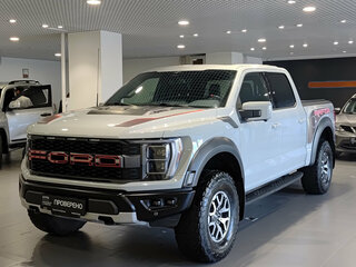 Ford F-150 Raptor XIV