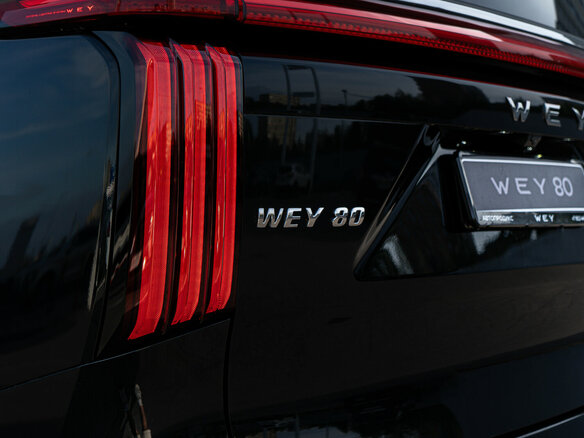 2025 Wey 80 37.96 kWh, зелёный - вид 8