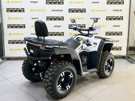 2025 Bashan Explorer 300, белый, 419000 рублей, вид 5