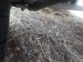 2015 ГАЗ ГАЗель Next, серый, 2100000 рублей - вид 9