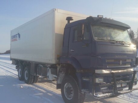 2009 КамАЗ 43118, синий, 6500000 рублей, вид 3