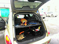 2002 Chrysler PT Cruiser, золотистый - вид 8