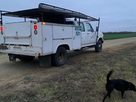 1992 Ford F-350, белый, 1600000 рублей, вид 3