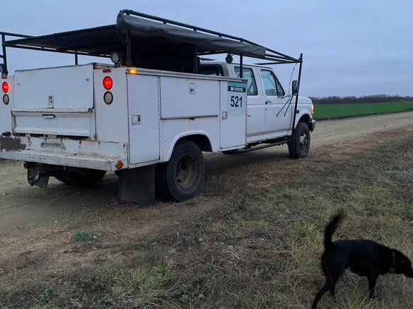1992 Ford F-350, белый, 1600000 рублей - вид 2