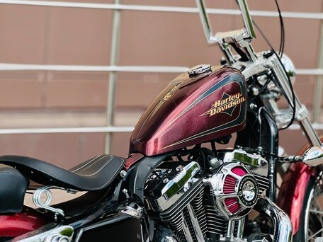 2013 Harley-Davidson Sportster 1200, красный, 990000 рублей, вид 5