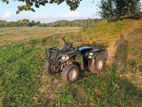 2011 Yamaha Grizzly 125, зелёный, 299000 рублей, вид 3