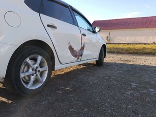 2015 Volkswagen Polo V, белый, 650000 рублей, вид 4
