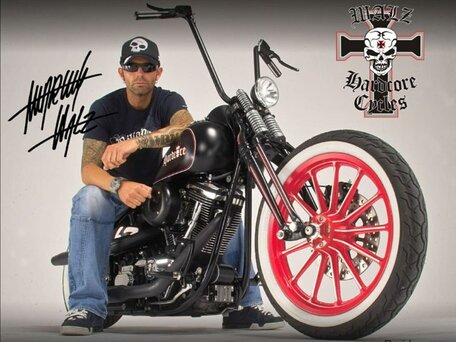 2006 Harley-Davidson Softail Custom, чёрный, 1450000 рублей, вид 2