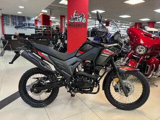 2025 Loncin MS250, красный, 179900 рублей, вид 1