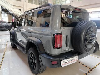 2021 Tank 300 I, серый, 2940000 рублей, вид 2