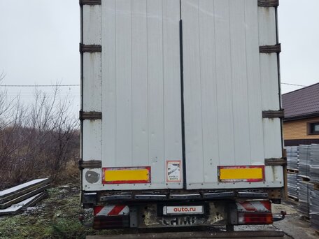 2000 DAF 95XF, синий, 820000 рублей, вид 2
