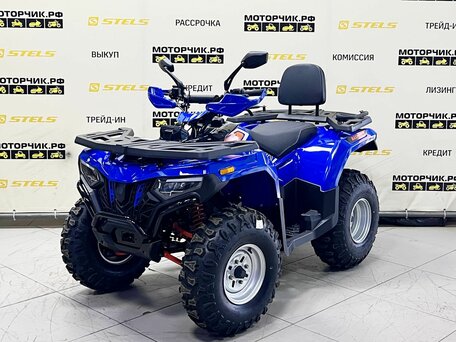 2025 Bashan Explorer 300, синий, 299000 рублей, вид 1