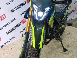 2026 Motoland Enduro 300, чёрный, 169500 рублей, вид 1