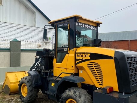 2020 Molot ZL20, 1600000 рублей, вид 1