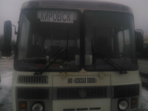 2008 ПАЗ 4234, белый