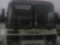 2008 ПАЗ 4234, белый