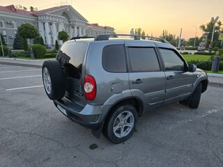 2009 Chevrolet Niva I Рестайлинг, серый, 530000 рублей, вид 5