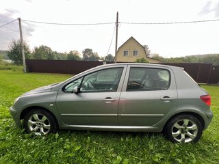 2002 Peugeot 307 I, серый, 320000 рублей, вид 4