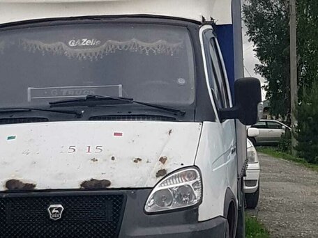 2011 ГАЗ ГАЗель (3302), белый, 870000 рублей, вид 2