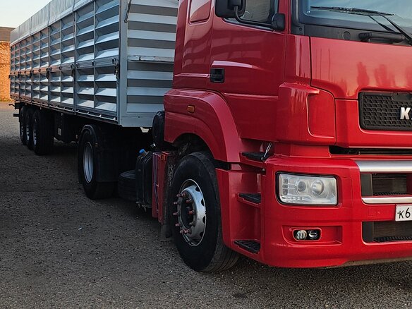 2016 КамАЗ 5490, красный, 3400000 рублей - вид 7