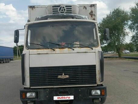 2011 МАЗ 4370, белый, 600000 рублей, вид 1