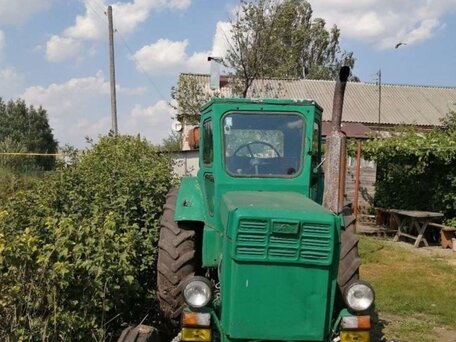 1985 ЛТЗ Т-40АМ, зелёный, 140000 рублей, вид 1