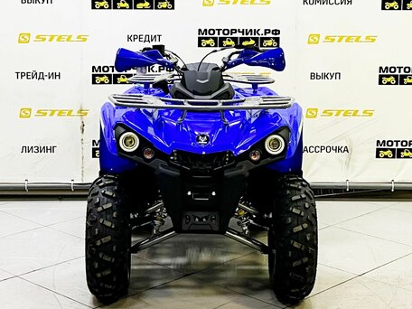 2025 Bison ATV200, синий, 219000 рублей, вид 3