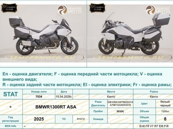 2025 BMW R 1300 RT, белый, 3200000 рублей - вид 39