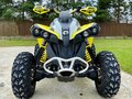 2019 BRP Can-Am Renegade 1000, жёлтый