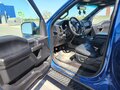 2017 Ford F-150 XIII, синий, 4900000 рублей - вид 9