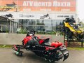 2013 BRP Lynx Rave, красный - вид 5
