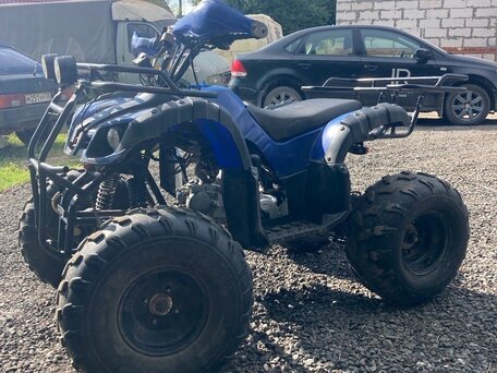 2017 Motoland ATV 125 Fox, синий, 75000 рублей, вид 2