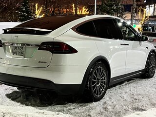 2019 Tesla Model X P100D I, белый, 4300000 рублей, вид 5