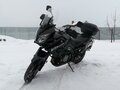 2008 Suzuki V-Strom 1000, чёрный - вид 4