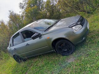 2009 Lada (ВАЗ) Kalina I, серый, 290000 рублей, вид 5