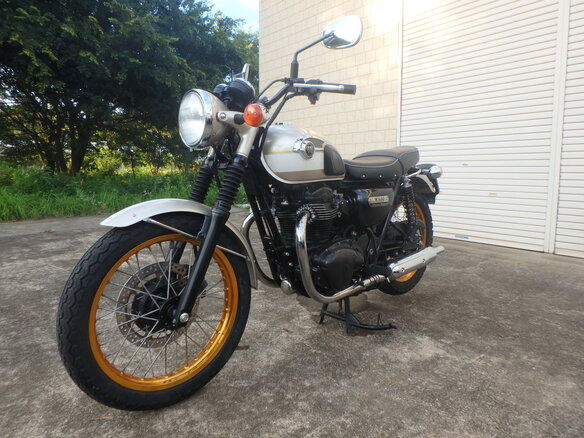2015 Kawasaki W 800, бежевый, 680000 рублей - вид 14