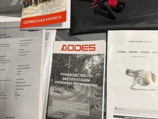 2025 AODES (Odes) Pathcross 1000 Mud Pro, серебристый, 1340000 рублей, вид 4