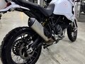 2025 Ducati DesertX, белый, 1250000 рублей - вид 1