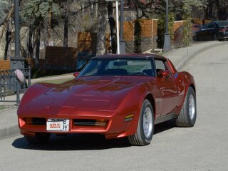 1980 Chevrolet Corvette C3, пурпурный, 7500000 рублей, вид 2