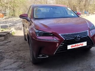 2019 Lexus NX 300 I Рестайлинг, красный, 3800000 рублей, вид 4