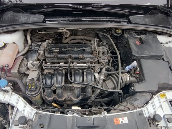 2015 Ford Focus III Рестайлинг, белый, 900000 рублей - вид 6