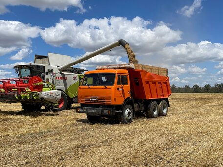 2006 КамАЗ 65115, оранжевый, 1490000 рублей, вид 1