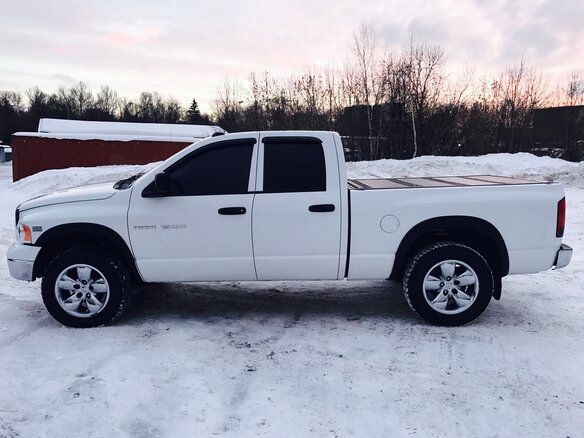 2004 Dodge RAM III (DR/DH), белый - вид 6