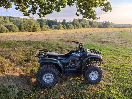 2011 Yamaha Grizzly 125, зелёный, 299000 рублей, вид 2