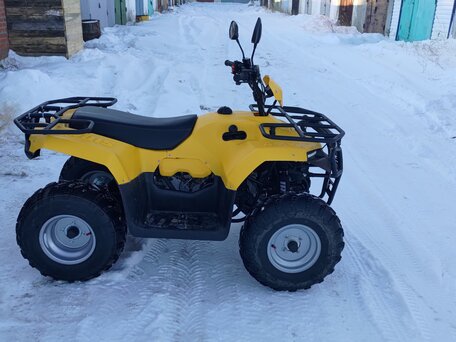 2024 Irbis ATV 200U, жёлтый, 280000 рублей, вид 2