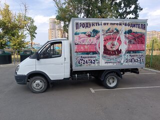 2007 ГАЗ ГАЗель (3302), белый, 850000 рублей, вид 2