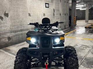2025 Promax 320 DOMINATOR, чёрный, 320000 рублей, вид 3