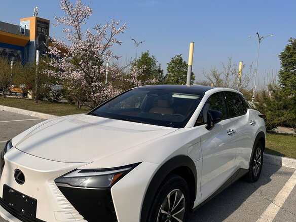 2023 Lexus RZ 450e, белый, 6000000 рублей - вид 15