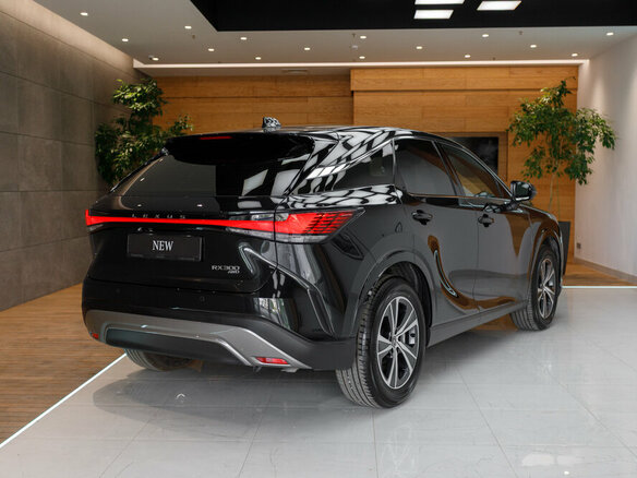 2025 Lexus RX 300 V, чёрный, 8090000 рублей - вид 6